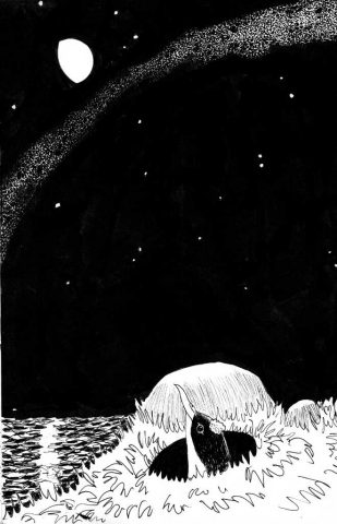a cartoon drawing of a young shearwater emerging form a burrow at night with the moon and milky way above