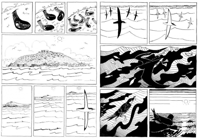 2 pages from a black and white cartoon of shearwaters nesting in a burrow, the view pulls back until the island is distant and we see shearwaters fishing on the open sea