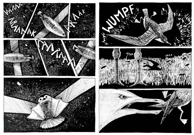 2 pages from a black and white cartoon, a confusion of shearwaters in the sky at night, then one lands to find it is near a gull and has to make its escape